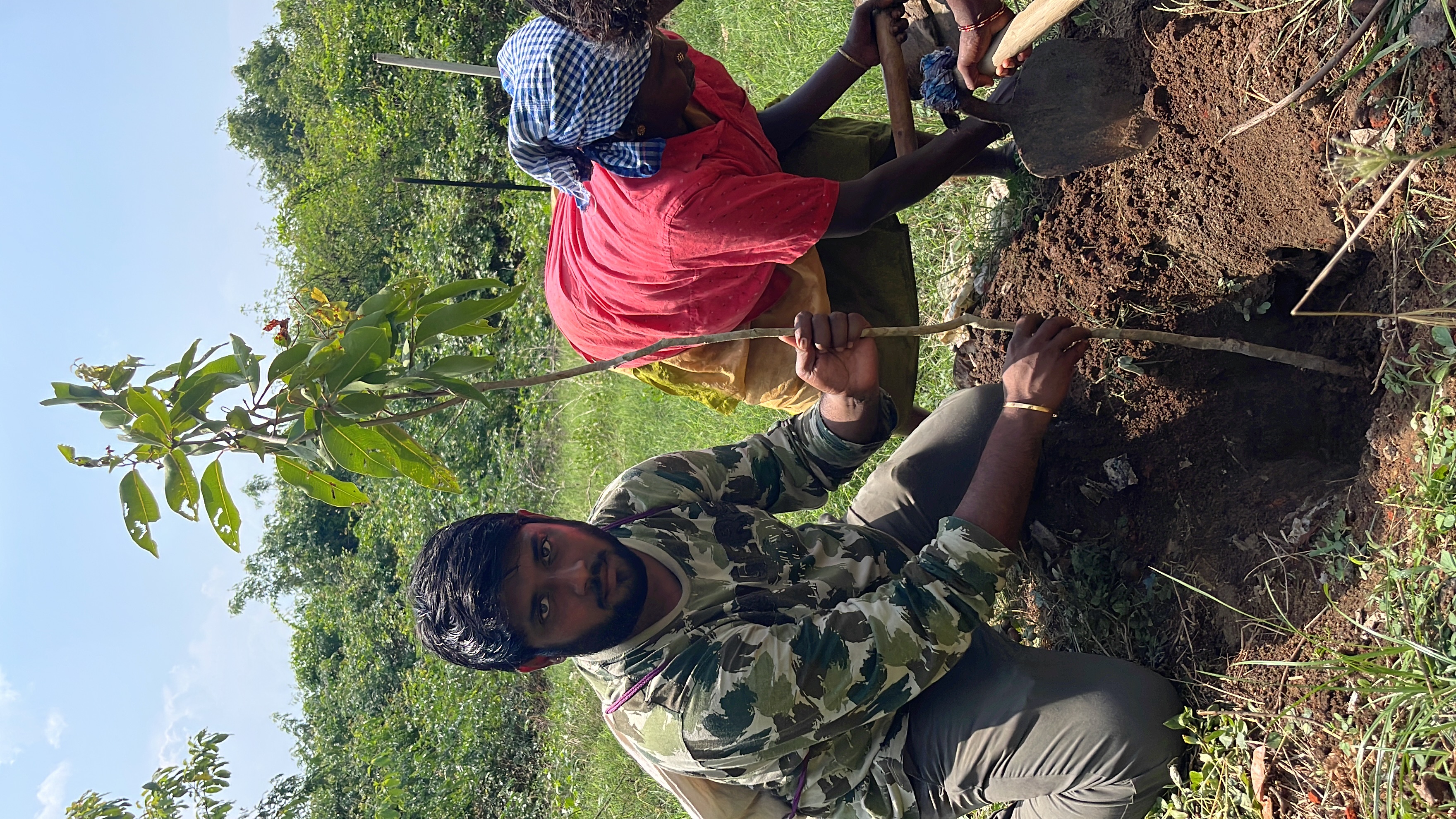 Tree planting fieldwork close-up